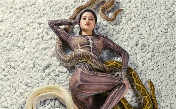 Khi nằm mơ thấy trăn đánh con đề gì? Con trăn số mấy?