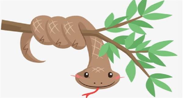 Nằm mơ rắn cắn đánh số lô đề nào chắc chắn trúng