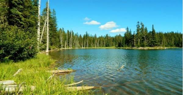 Nằm mơ thấy ao nước nên đánh con gì, ao nước số mấy?