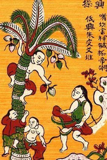 Nằm Mơ Thấy Hái Dừa Theo Đánh Con gì?