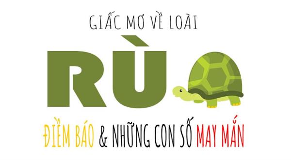 Nằm mơ thấy rùa nên đánh con gì để trúng. Giải mã giấc mơ thấy con rùa