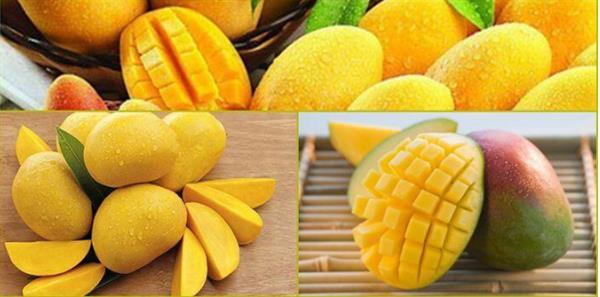 Nằm mơ thấy xoài đánh con gì? Ý nghĩa giấc mơ thấy trái xoài