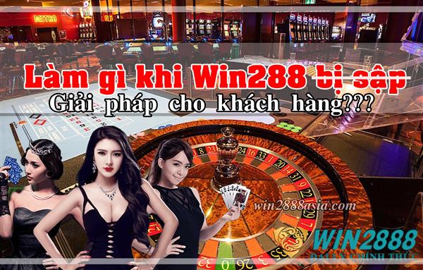 Win2888 Sập? Win2888 Mới là Tinycat99 Thay Thế Đúng Không?